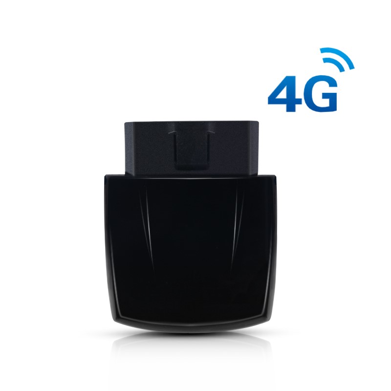 4G-D213